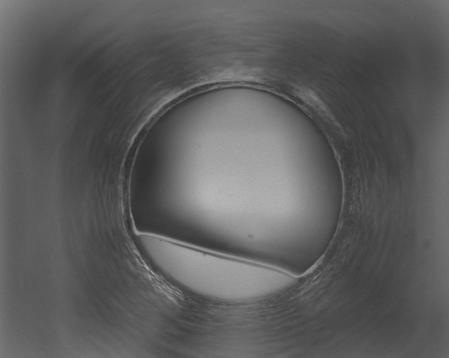 X0000052971268200507080912