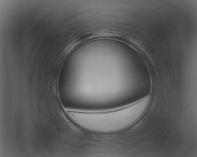 X0000052971273200507080912