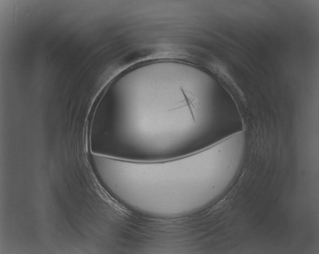 X0000052971276200507080912
