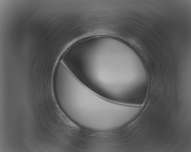 X0000052971280200507080912