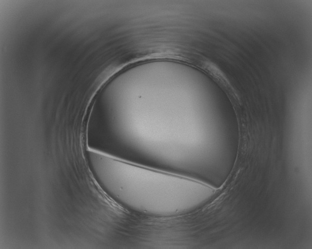 X0000052971284200507080912