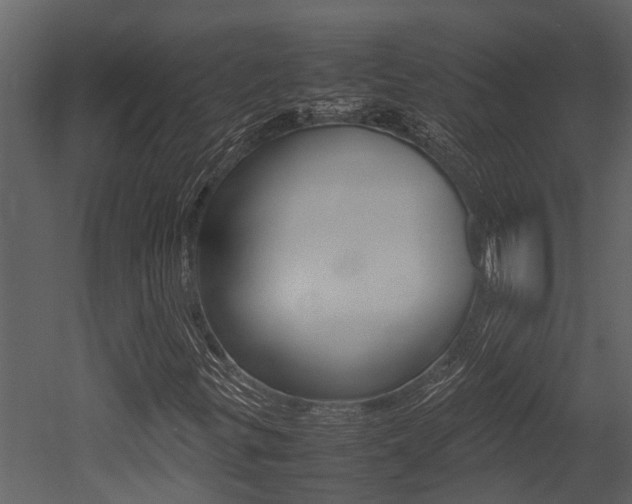 X0000052971299200507080911