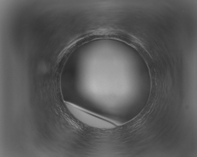 X0000052971304200507080911