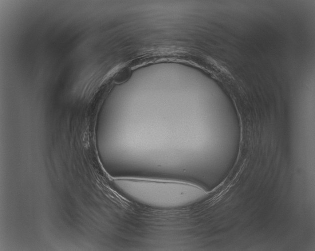 X0000052971306200507080911