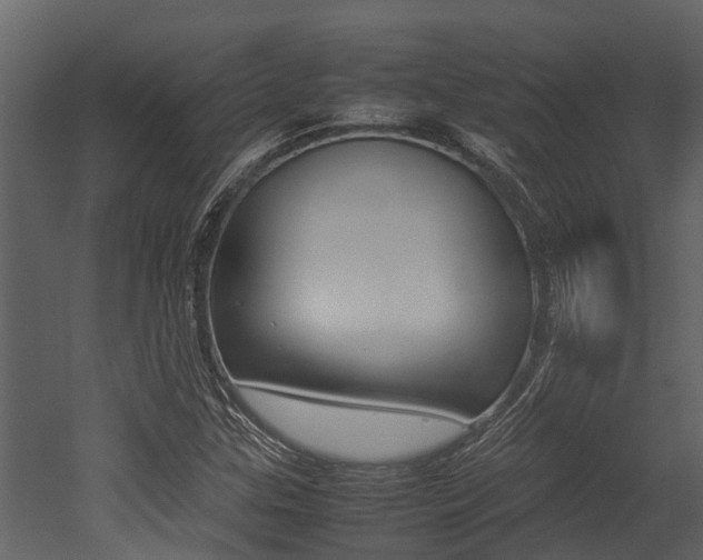 X0000052971307200507080911