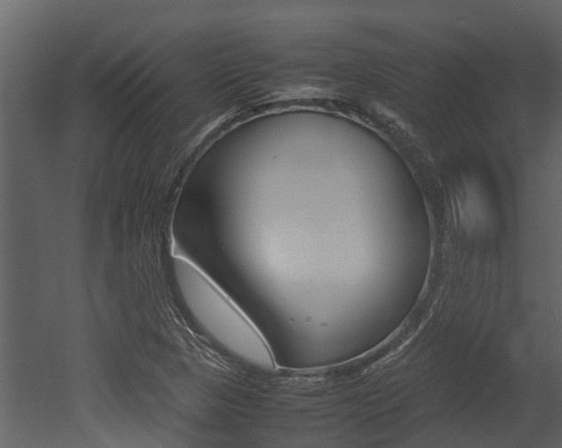 X0000052971313200507080911