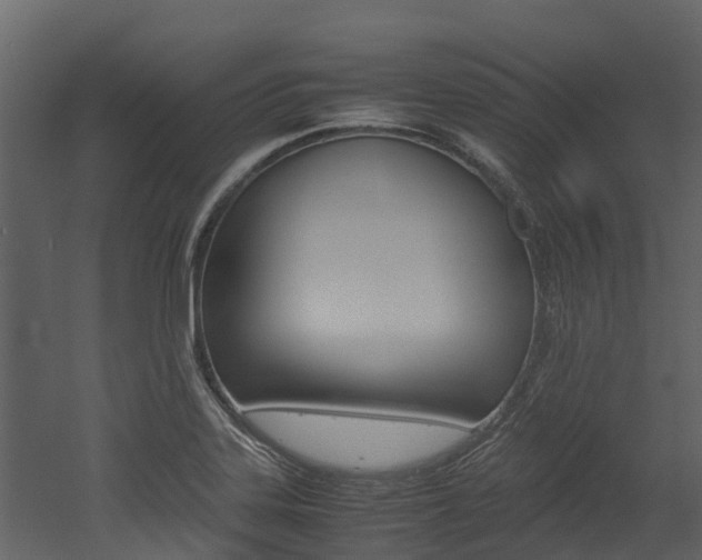 X0000052971323200507080912