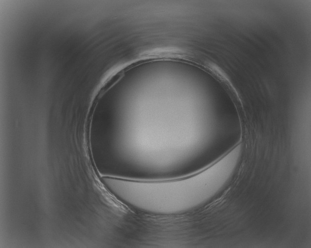 X0000052971336200507080912