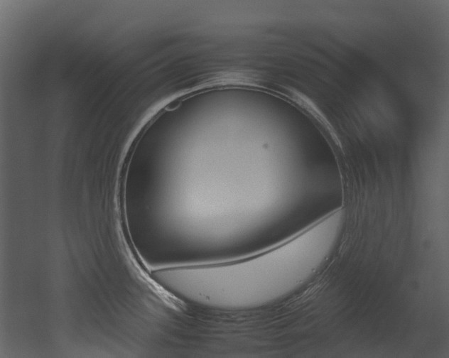 X0000052971339200507080912