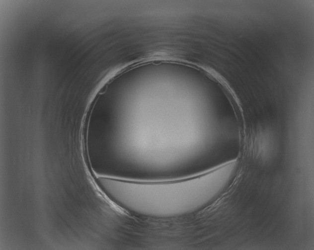 X0000052971341200507080912