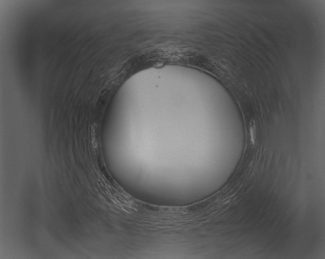 X0000052971347200507080911