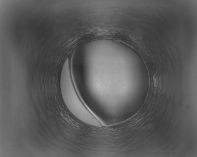 X0000052971348200507080911