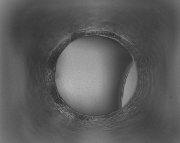X0000052971351200507080911