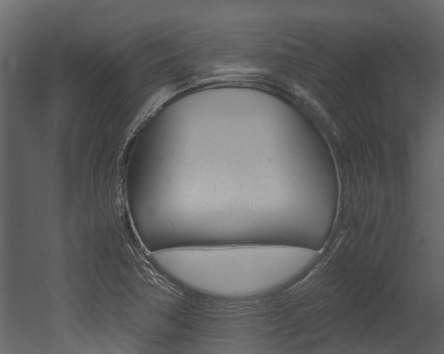 X0000052971362200507080911