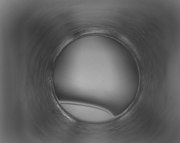 X0000052971377200507080911
