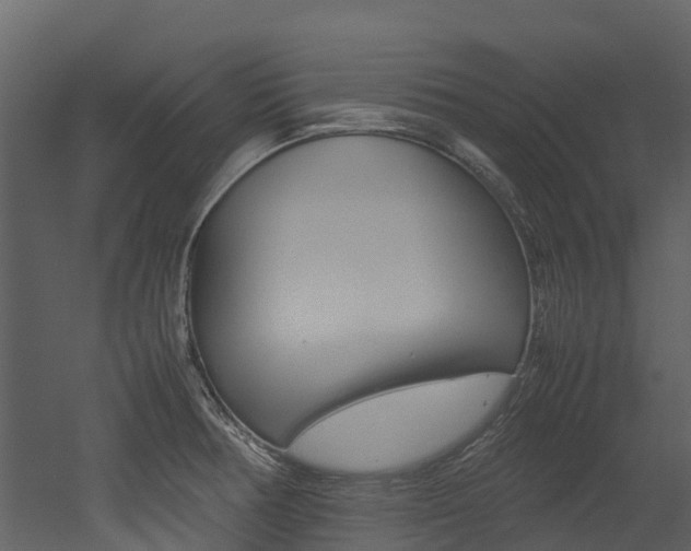 X0000052971378200507080911