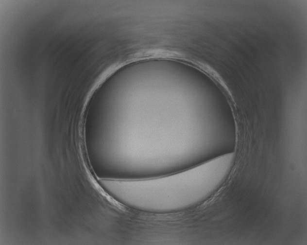 X0000052971381200507080911
