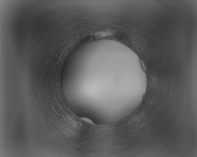 X0000052971393200507080910