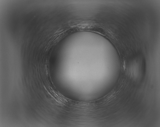 X0000052971396200507080910
