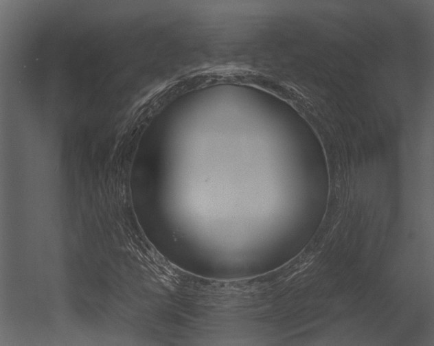 X0000052971398200507080910