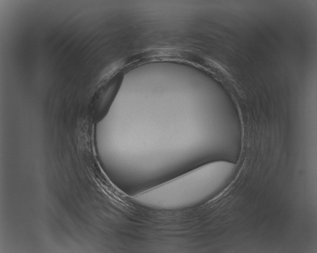 X0000052971403200507080910