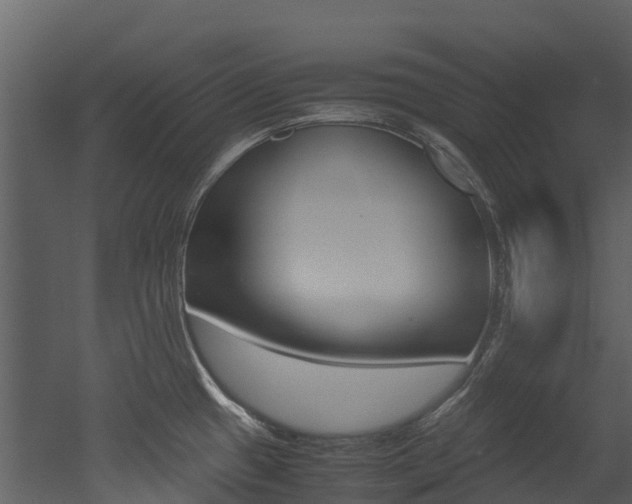 X0000052971433200507080910