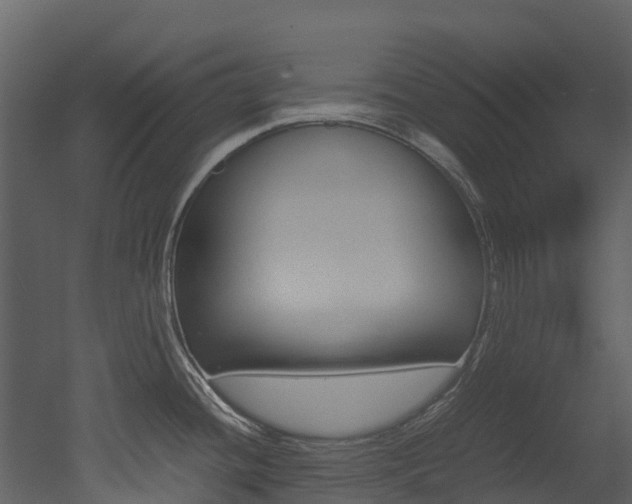X0000052971436200507080910