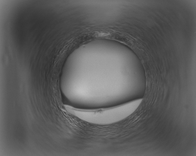 X0000052971441200507080909