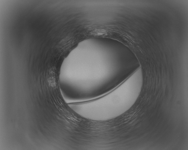 X0000052971442200507080909