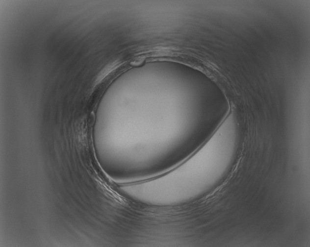X0000052971450200507080909