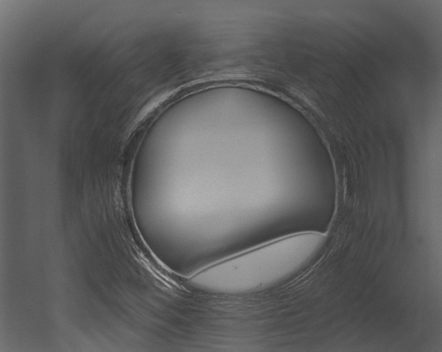 X0000052971452200507080909