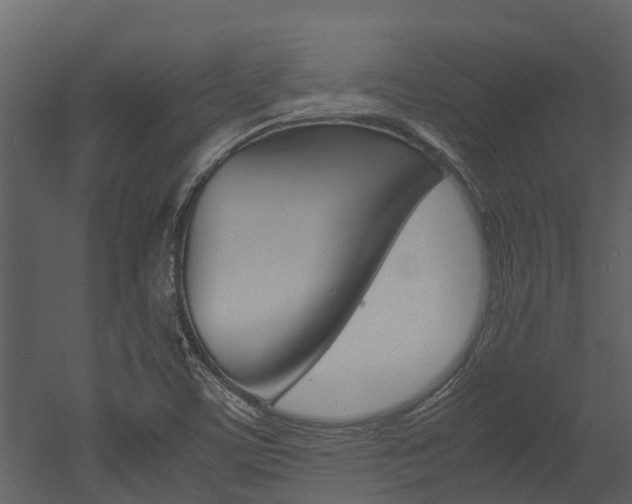 X0000052971459200507080909