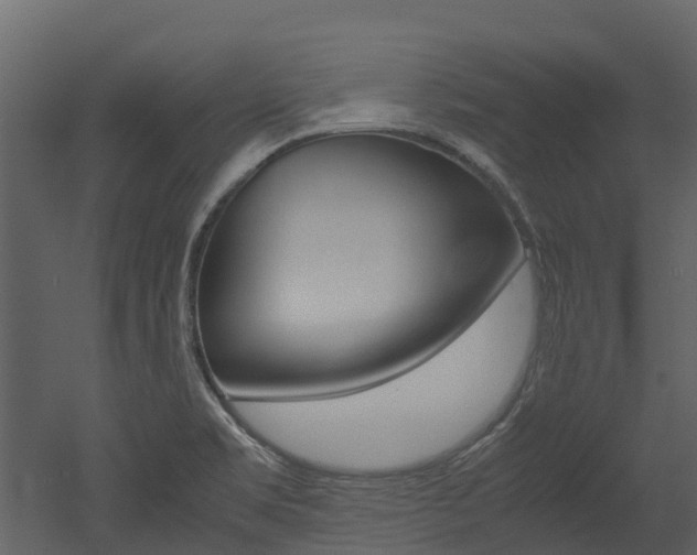 X0000052971469200507080909