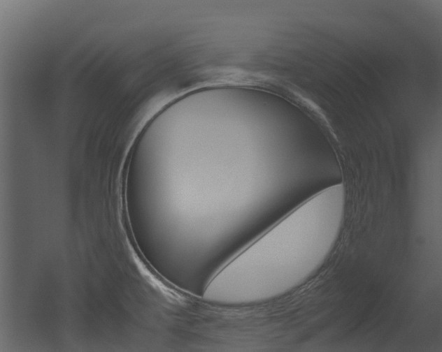 X0000052971479200507080909