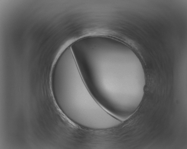 X0000052971480200507080909
