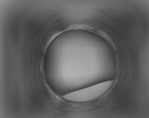 X0000052971481200507080909