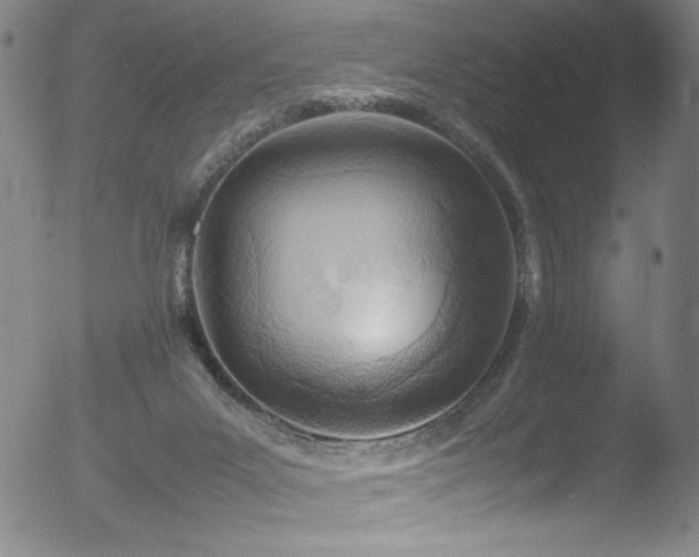 X0000052970023200507081312