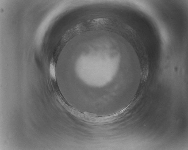 X0000052970047200507081312