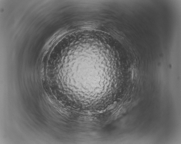 X0000052970339200507081306