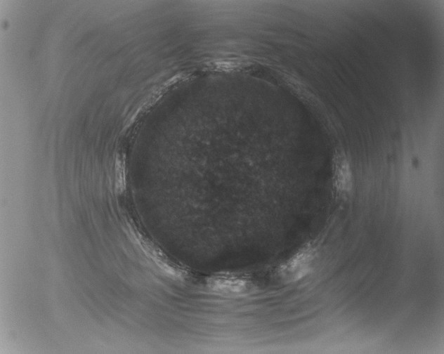X0000052970471200507081305