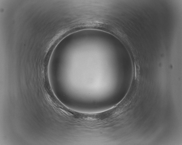 X0000052970483200507081304
