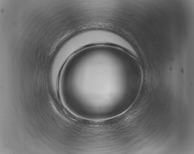 X0000052970538200507081303