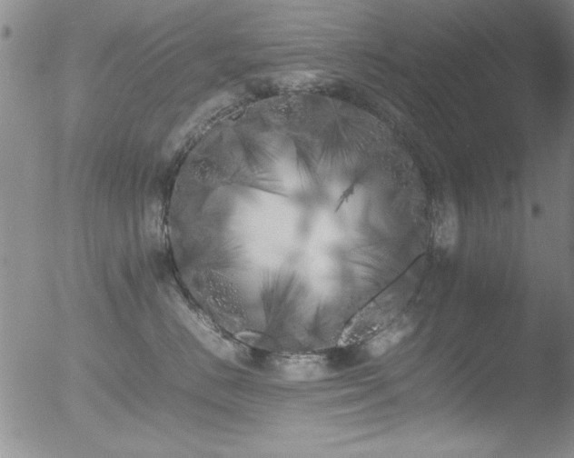 X0000052970670200507081302