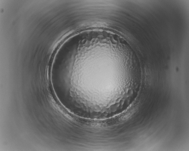 X0000052970790200507081259
