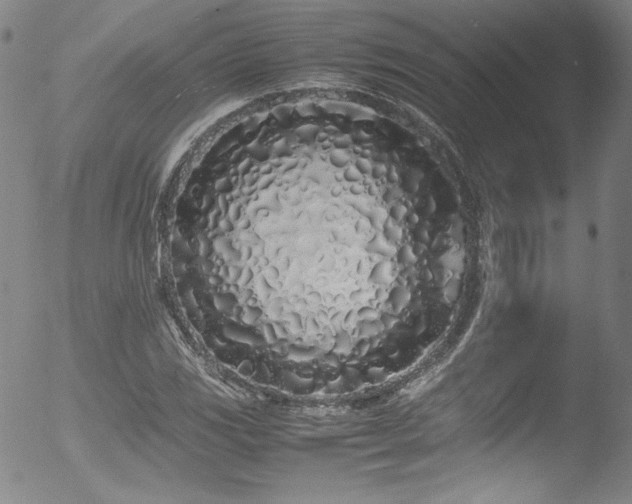 X0000052971117200507081253