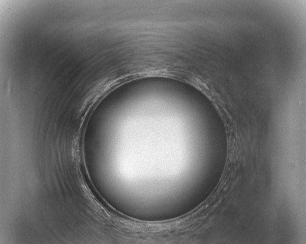 X0000052970002200507151814