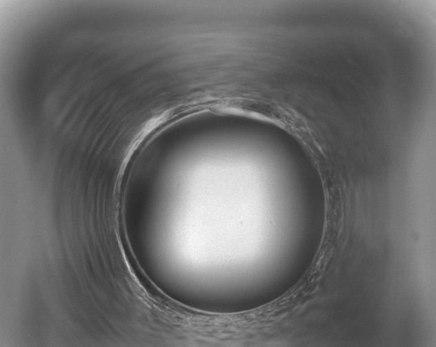X0000052970003200507151814