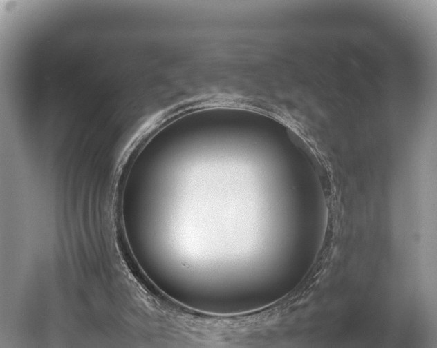 X0000052970007200507151814