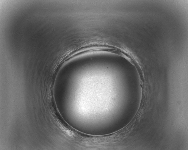 X0000052970009200507151814