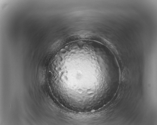 X0000052970018200507151814
